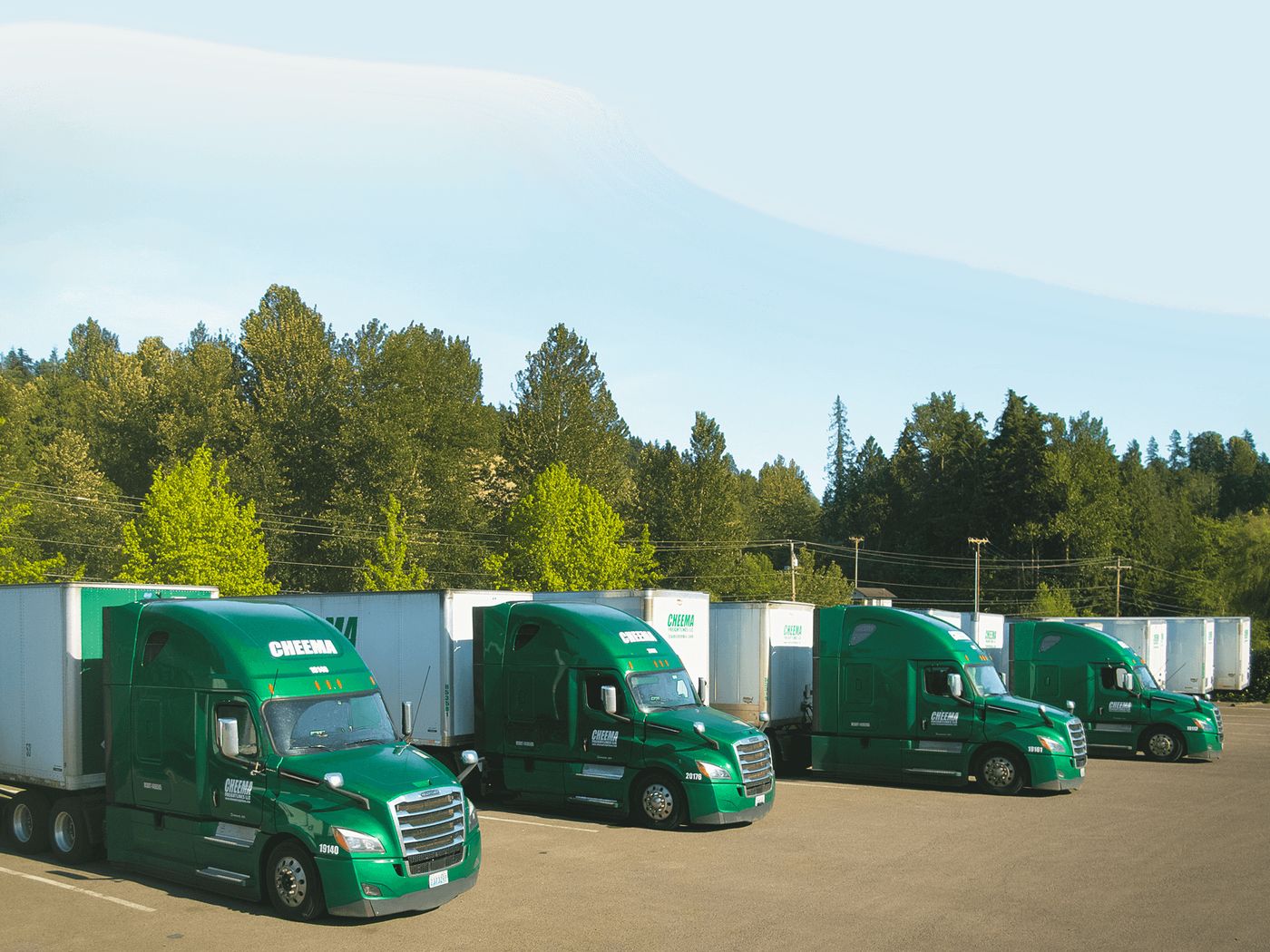 Cheema Freightlines fleet